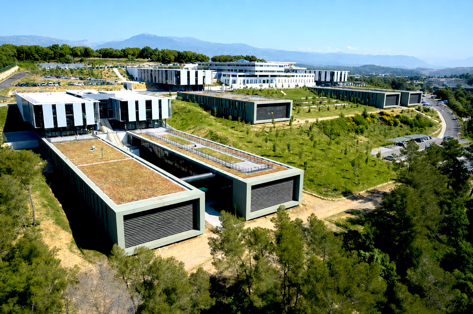 Ecosystem